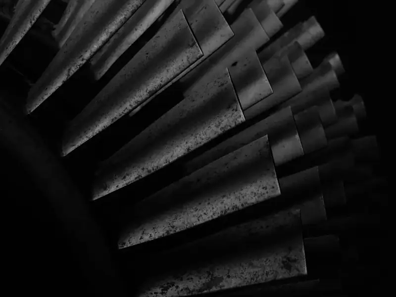 Row of turbine blades