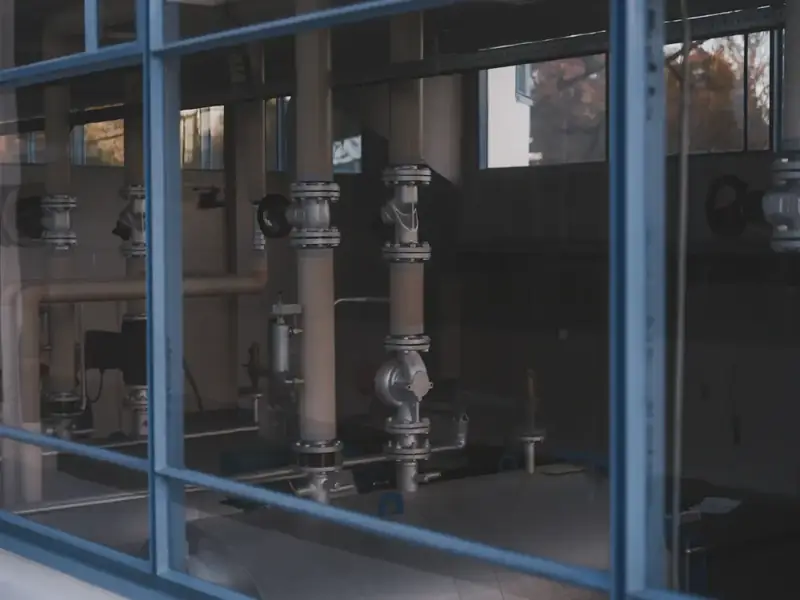 Plant process piping and valves